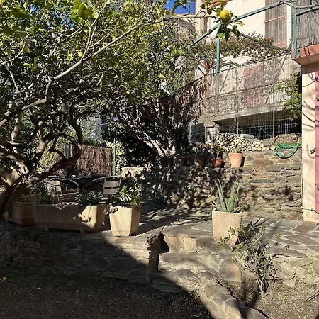 2 Couchages Sur Bn660-001 Apartament Banyuls-sur-Mer